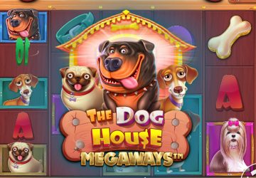 Витрина: The Dog House